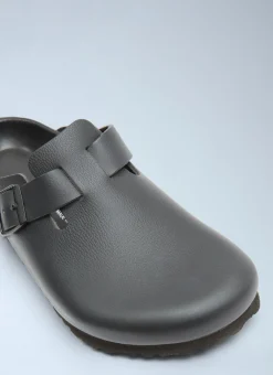 Boston Mules><noscript><img width=