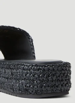 Braided Platforms><noscript><img width=