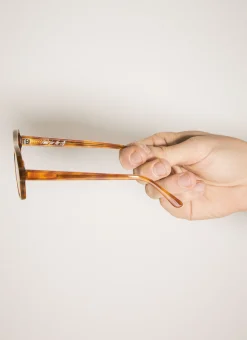 Men Lexxola Sunglasses^Damien Aviator Sunglasses