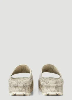 Gg Platform Slides><noscript><img width=