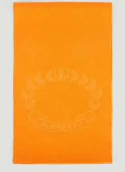 Men Burberry Scarves^Ghost Crest Scarf