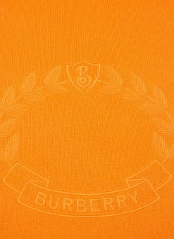 Men Burberry Scarves^Ghost Crest Scarf