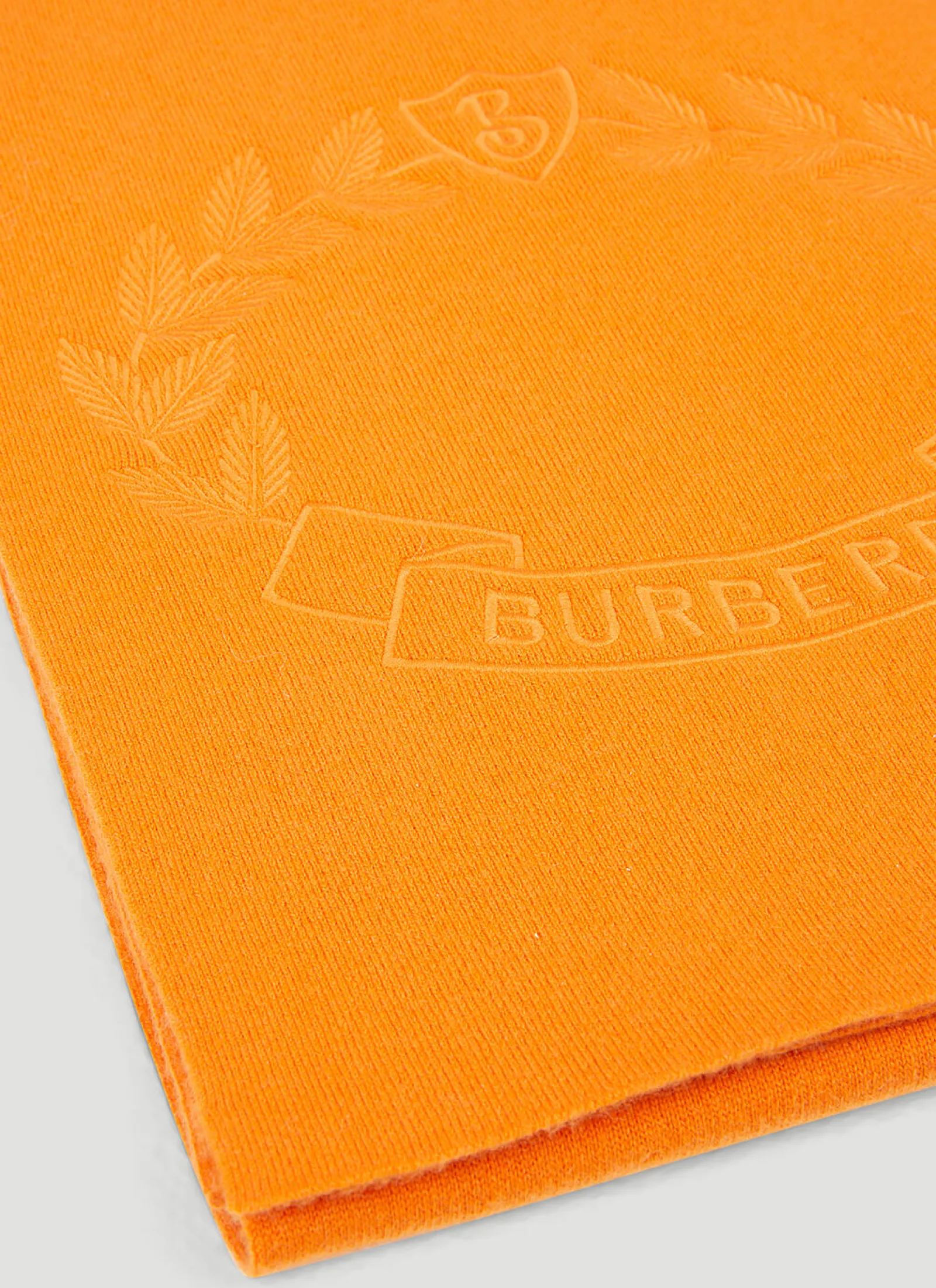 Men Burberry Scarves^Ghost Crest Scarf