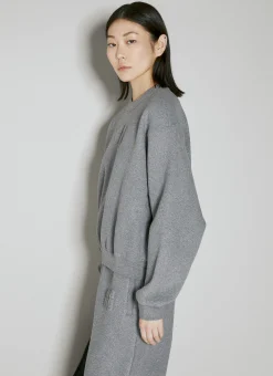 Glitter Terry Sweatshirt></noscript>Alexander Wang New