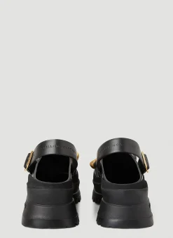 Trace Clogs><noscript><img width=