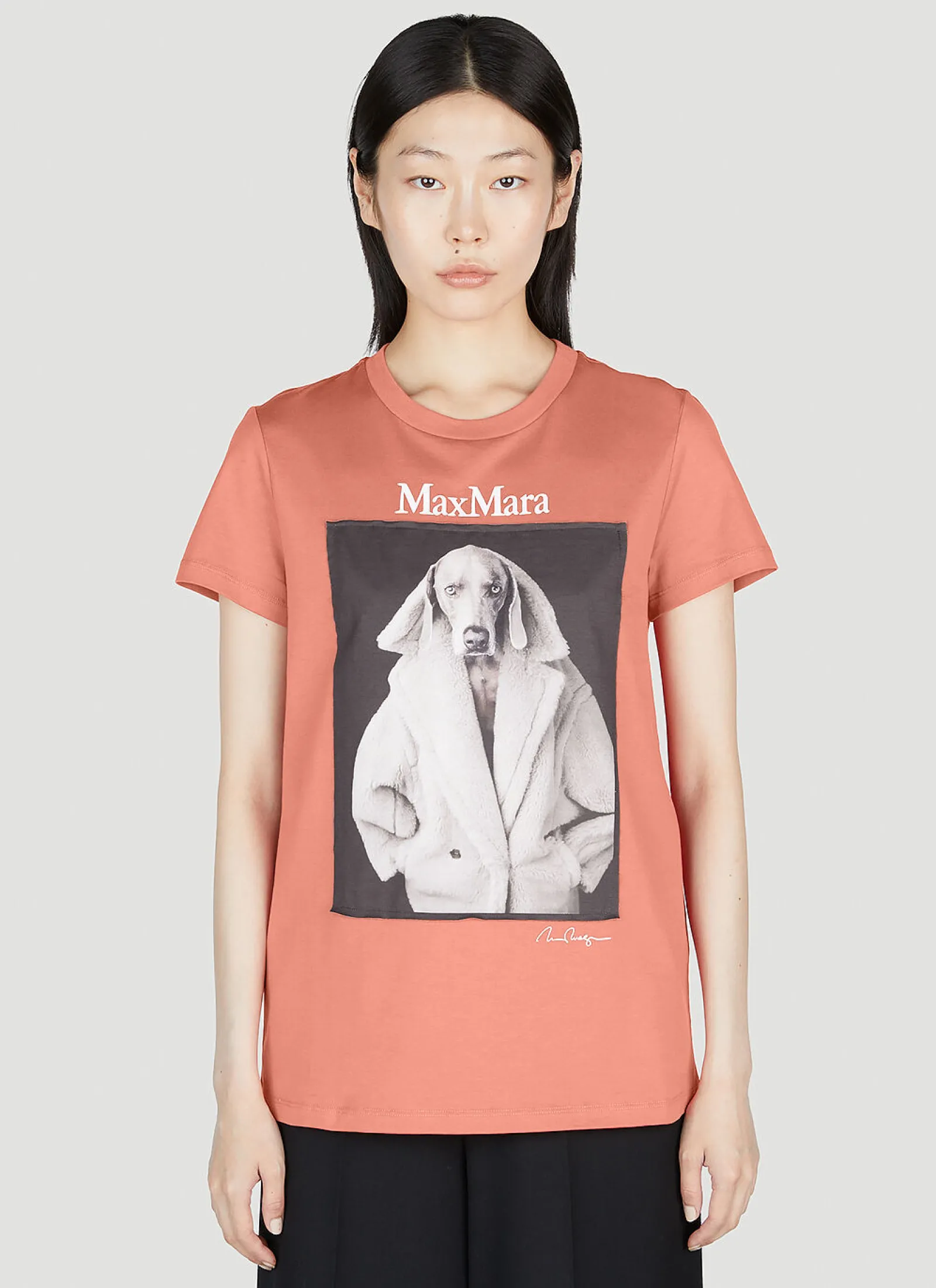 Wegman T-Shirt>Max Mara Discount