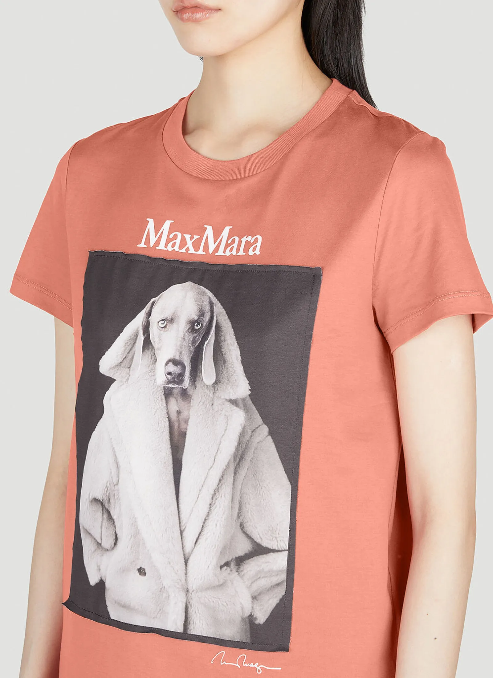 Wegman T-Shirt>Max Mara Discount